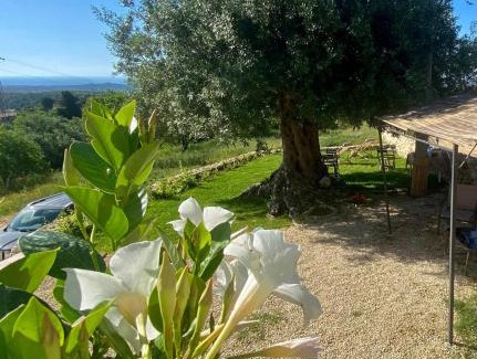 Noto Casa | Casale Micale