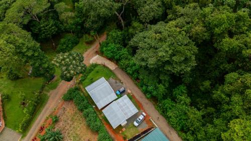 Ballena Casa | Casas Alas del Bosque 2