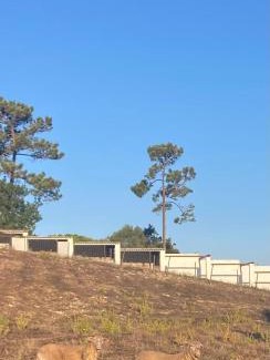 Rio Maior Casa | Casas de São José