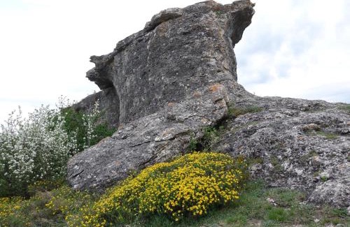 Cordovilla de Aguilar Casa | Casas Rurales El Mayorazgo