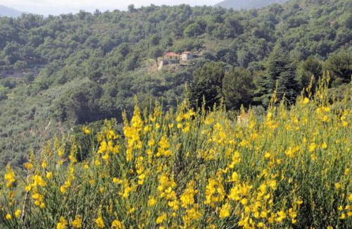 Pontedassio Casa | Case Natura
