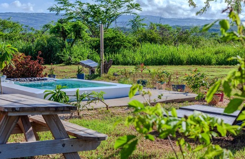 Treasure Beach Cabina | Cashaw Cabin - Private Retreat With a Pool