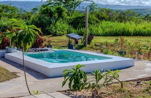 Treasure Beach Cabina | Cashaw Cabin - Private Retreat With a Pool