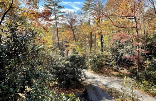 Cashiers Cabaña | Cashiers Cottage - central location, 5 min to downtown, dog-friendly