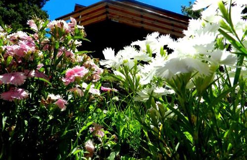 Belgrano Chalet De Esquí | Casita de Madera