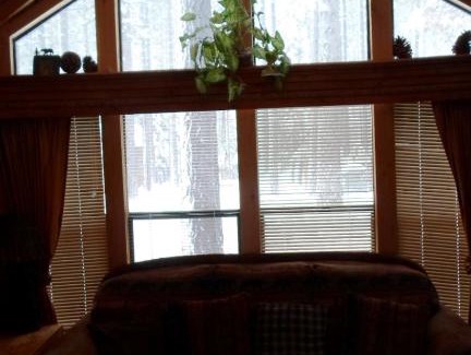 Tahoe Valley Complejo | Cedar Pines Resort