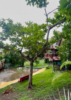 Mount Pleasant Bay Casa | Cedar Retreat Cottage
