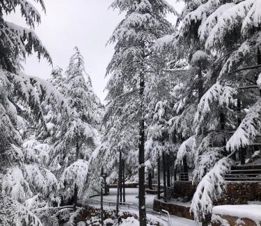 Kfardebian Villa | Cedar Scent Guesthouse