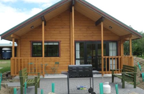 Alexandra Hotel | Central Chalets Ltd