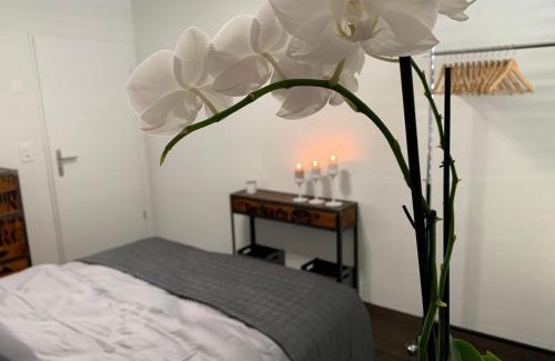 Biel Casa | Central & Elegant Room in Biel