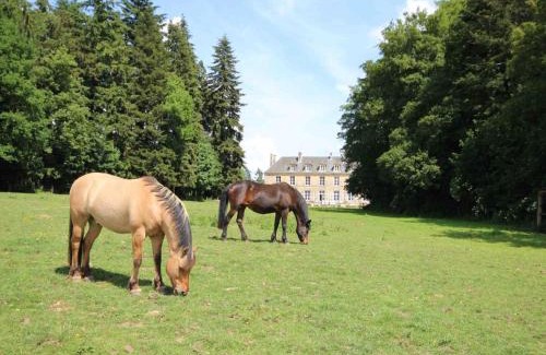 Bellavilliers Casa | Château élégant avec grand parc, animaux, cheminée, jeux, et tout confort dans le Perche - FR-1-497-102
