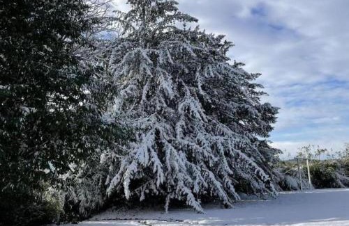 Bellavilliers Casa | Château élégant avec grand parc, animaux, cheminée, jeux, et tout confort dans le Perche - FR-1-497-102