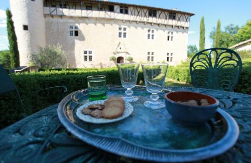 Castelnau-de-Montmiral Casa | Château de Mayragues