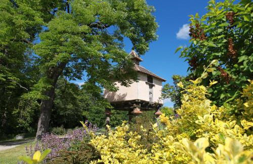 Castelnau-de-Montmiral Casa | Château de Mayragues