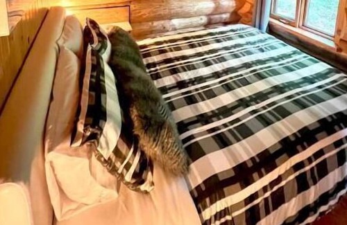 Saint-Gabriel-de-Valcartier Chalet De Esquí | Chalets Terre de l 'Orme Chalet Bois Rond à SGDV