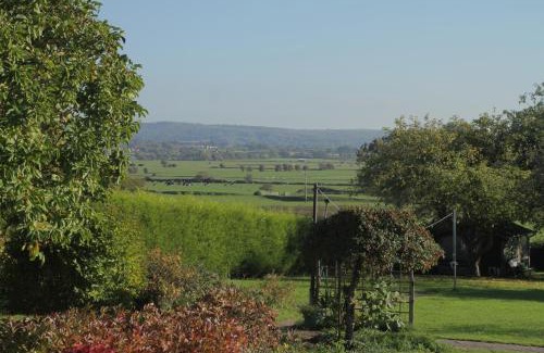 Tickenham Apartamento | Chacao