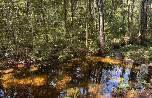 Carolina Casa | Chacara Refugio das Babaçus