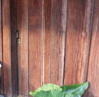 Carolina Casa | Chacara Refugio das Babaçus