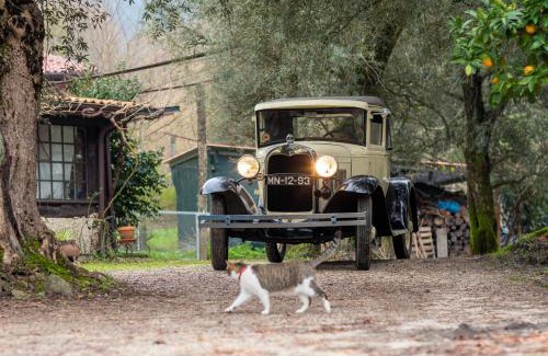 Molares Casa | Chalé da Quinta "Lavoura da Bouça - Fruta Bio"