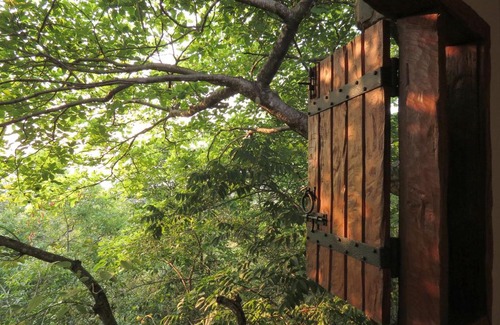 Bonito Cabina | Chalé do Bosque