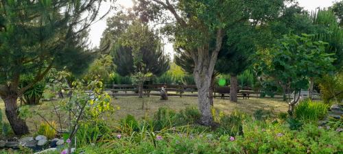 Coimbrao Chalet De Esquí | Chale dos Sobreiros
