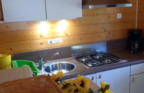 Lempdes-sur-Allagnon Otro | Chalet 35m², Terrasse, Salon de Jardin - API-1-52-593