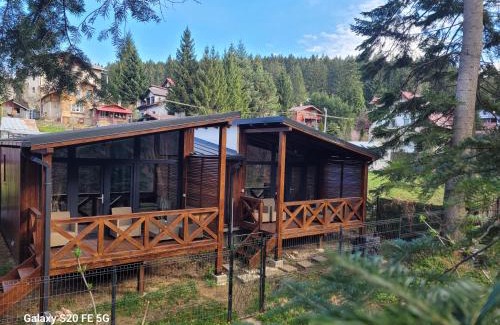 Busteni Chalet De Esquí | Chalet Amik