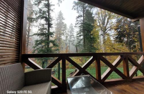 Busteni Chalet De Esquí | Chalet Amik