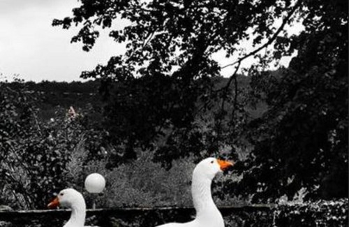 Terrasson-la-Villedieu Chalet De Esquí | CHALET CONFORT 5 - el clos de la fábrica