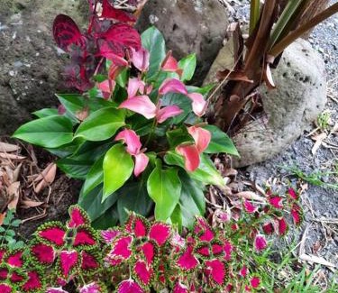 Saint-Joseph Chalet De Esquí | Chalet de Bérènice