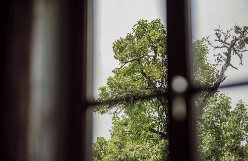 Sankt Veit im Pongau Chalet De Esquí | Chalet 'Hinterweiding Gut' con vistas a la montaña, jardín y Wi-Fi
