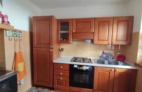 Madruzzo Chalet De Esquí | Chalet in the woods with lake and breathtaking view