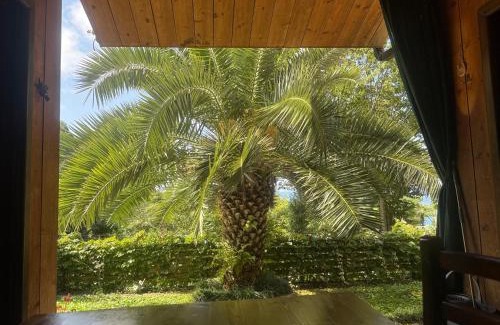 Kvariati Casa | Chalet Ochos Qokhi