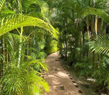 La Iglesia Chalet De Esquí | Chalet tropical au cœur de Las Terrenas
