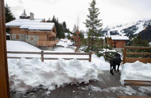 Meribel Chalet De Esquí | Chalet typique ski-in/ski-out, cheminée et terrasse, parking, Wi-Fi inclus à Méribel - FR-1-688-15