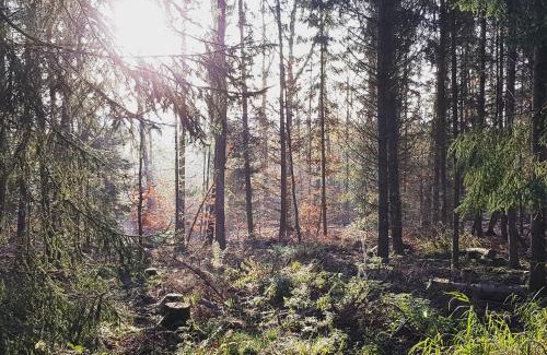 Muecke Casa | Chalet "Waldhauszeit" am See