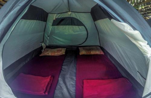 Tirthalli Otro | Chalets in Agumbe RainForest