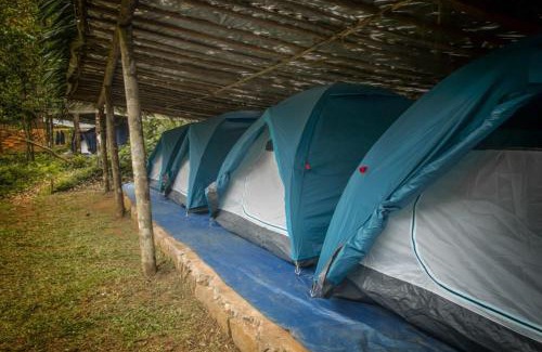 Tirthalli Otro | Chalets in Agumbe RainForest