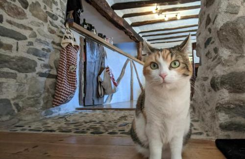 Bordes-Uchentein Cama Y Desayuno | Chambres d'hôtes Les Chatougoulis