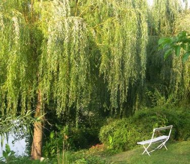 Bias Cama Y Desayuno | Chambres d'hôtes au château de Favols