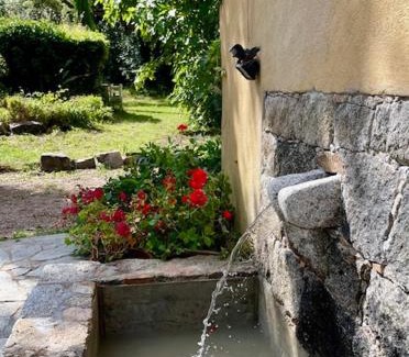 Porto-Vecchio Cama Y Desayuno | Chambres d'Hôtes Barraconu