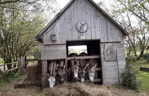 Vaux-sur-Aure Cama Y Desayuno | Chambres d'Hôtes Côté Campagne
