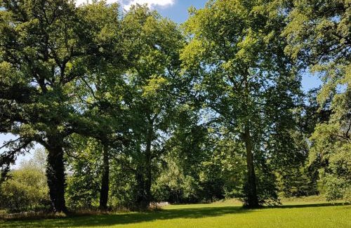 Cluis Cama Y Desayuno | Chambres d'hôtes de charme au Château avec jardin et petit-déjeuner inclus - FR-1-591-689