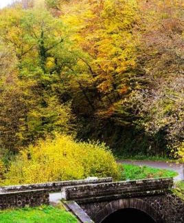 Montcel Cama Y Desayuno | Chambres d'hôtes le Peyroux