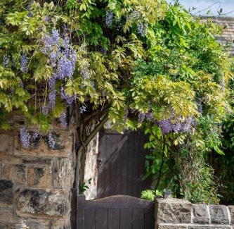 Cawthorne Casa | Chantry House