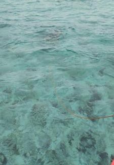 Cangmalalag Apartamento | Chariss Vacation House