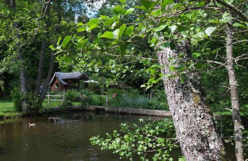 Epinal Chalet De Esquí | Charmant chalet aux portes d'Epinal