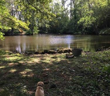 Jouarre Casa | Charmant havre de paix à la campagne