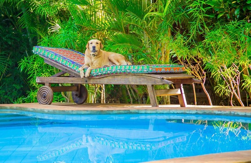 Galu Kinondo Cabaña | Charming 1-bed Cottage in Diani Beach 10min to bea