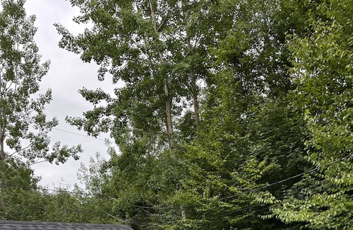 Knowlton Chalet De Esquí | Charming Chalet Willow with lake access and close to ski slopes